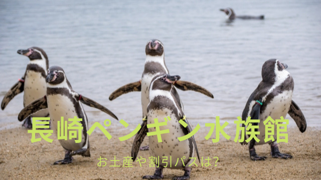 長崎ペンギン水族館のお土産と割引パスと駐車場混雑状況